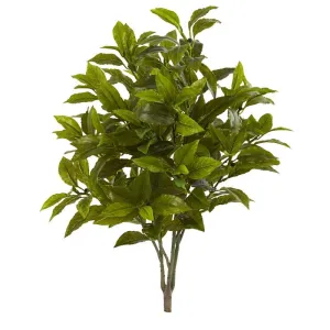 26"  Coffee Leaf Artificial Plant (Set of 2) (Real Touch)