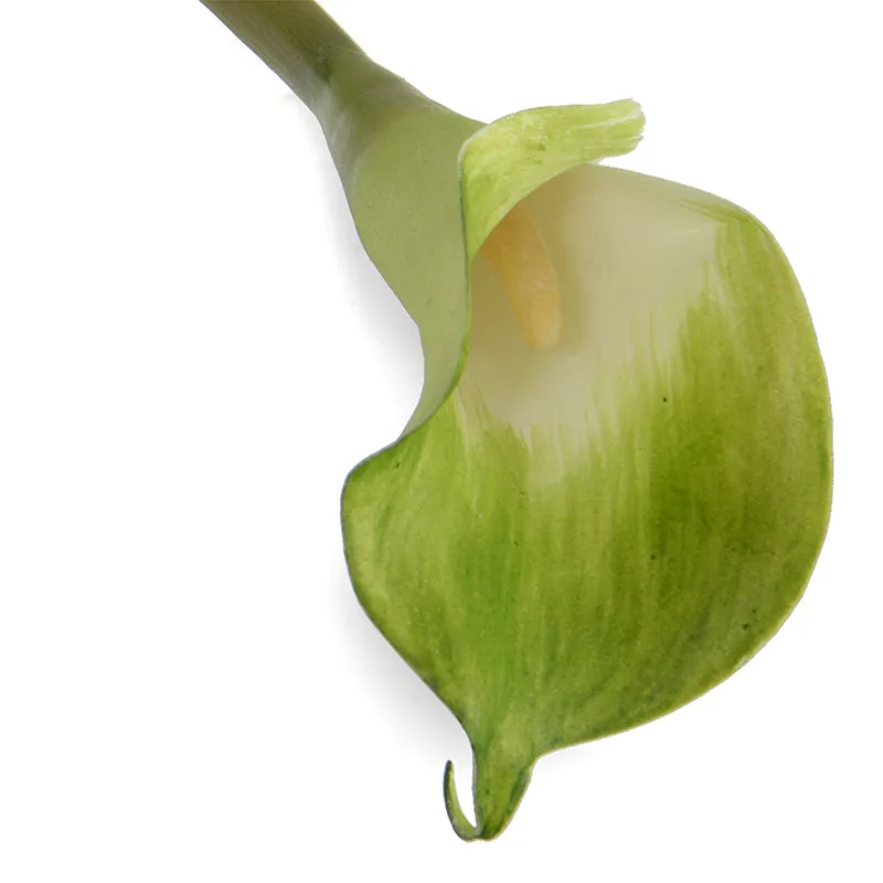 Calla Lily Stem, 30"L - Green-white