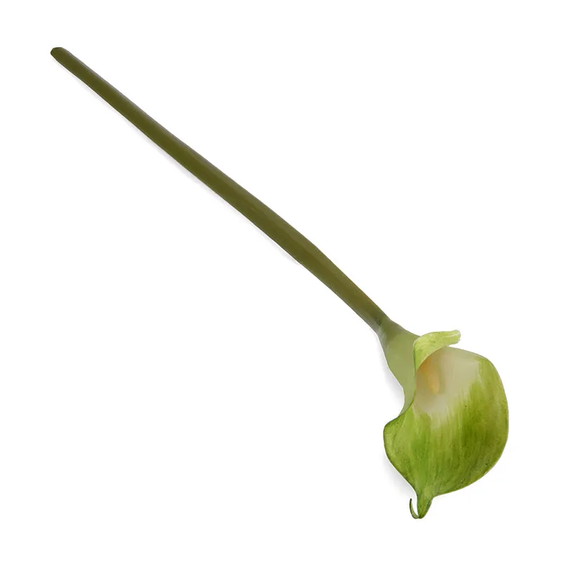 Calla Lily Stem, 30"L - Green-white