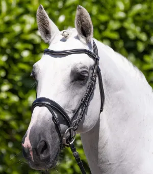 Cassano Snaffle Bridle Black