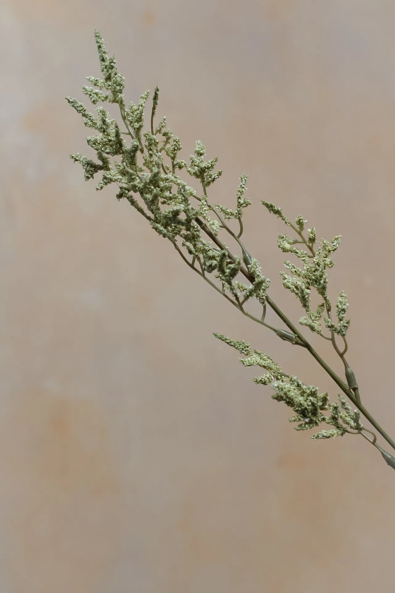 Faux Dried Green Limonium Stem